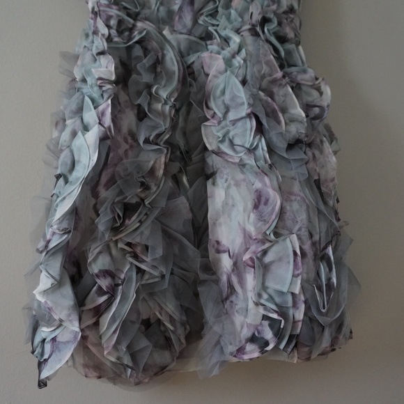 NWTBCBG Eva Silk Organza Ruffle Petal Dress 4 GRAY - Picture 3 of 7